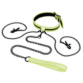 WhipSmart Glow In Dark Collar, Clips + Leash Collars and Leads